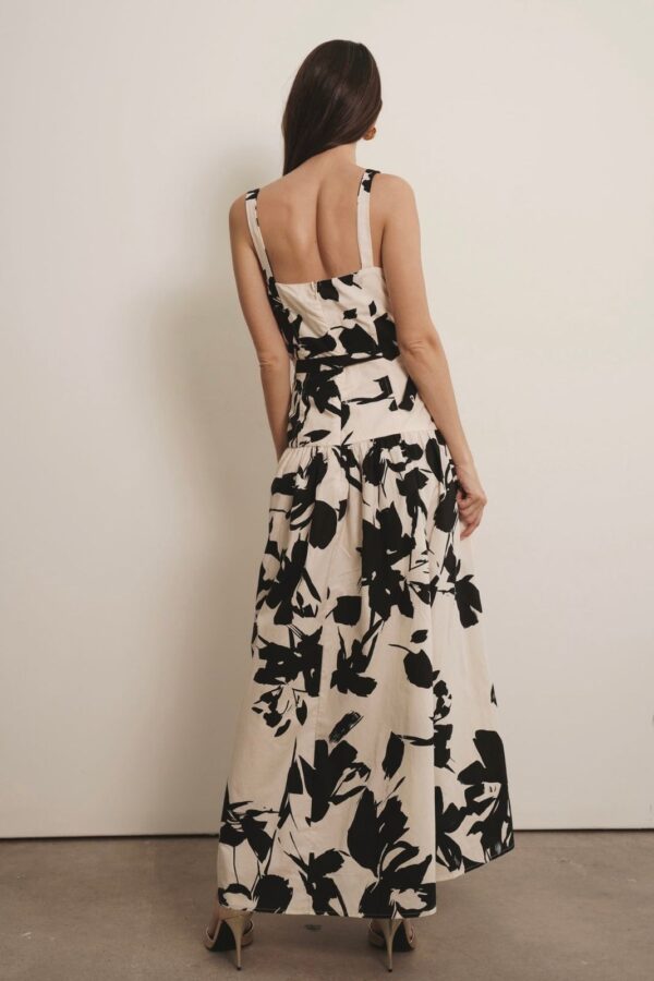 Cassia - Image 3