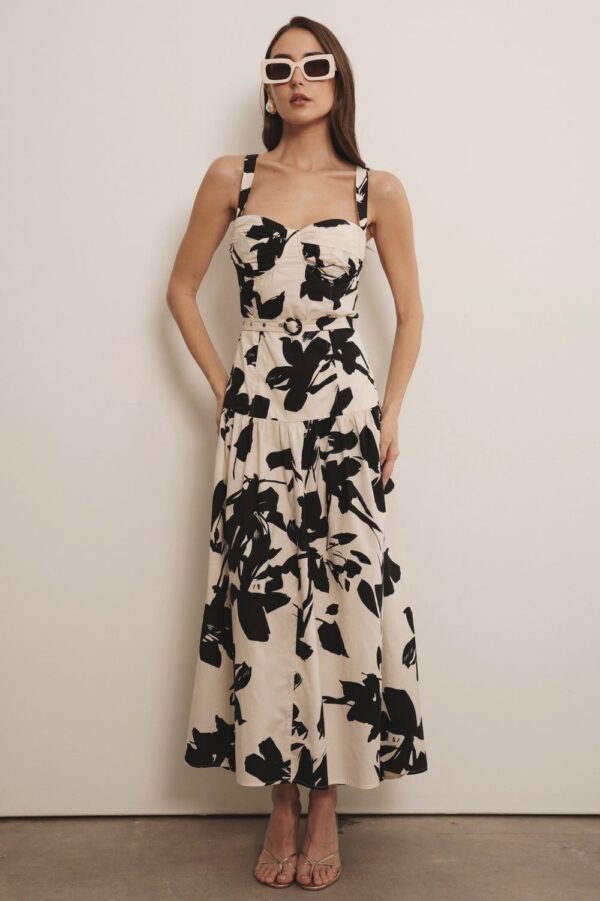 Cassia - Image 2