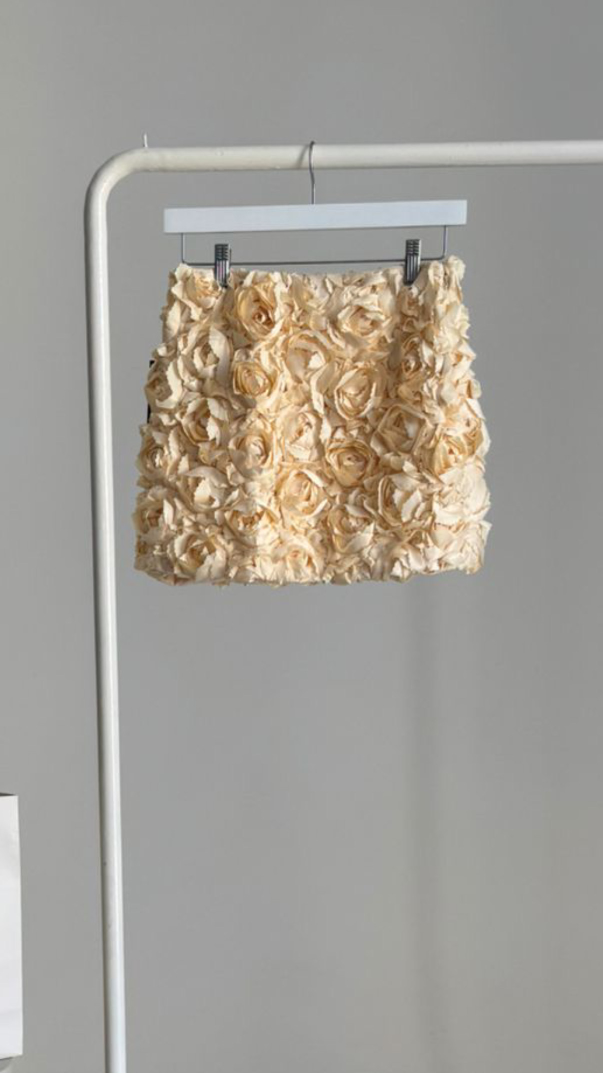 Delphine - Image 2